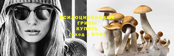 МДМА Белокуриха