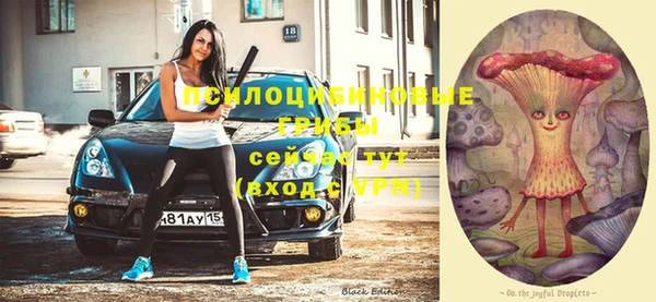 твердый Белоозёрский