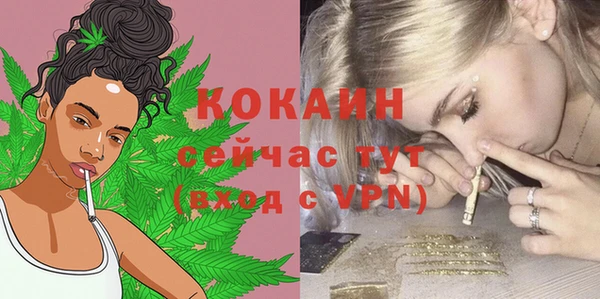 твердый Белоозёрский
