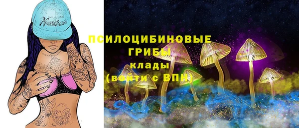 твердый Белоозёрский